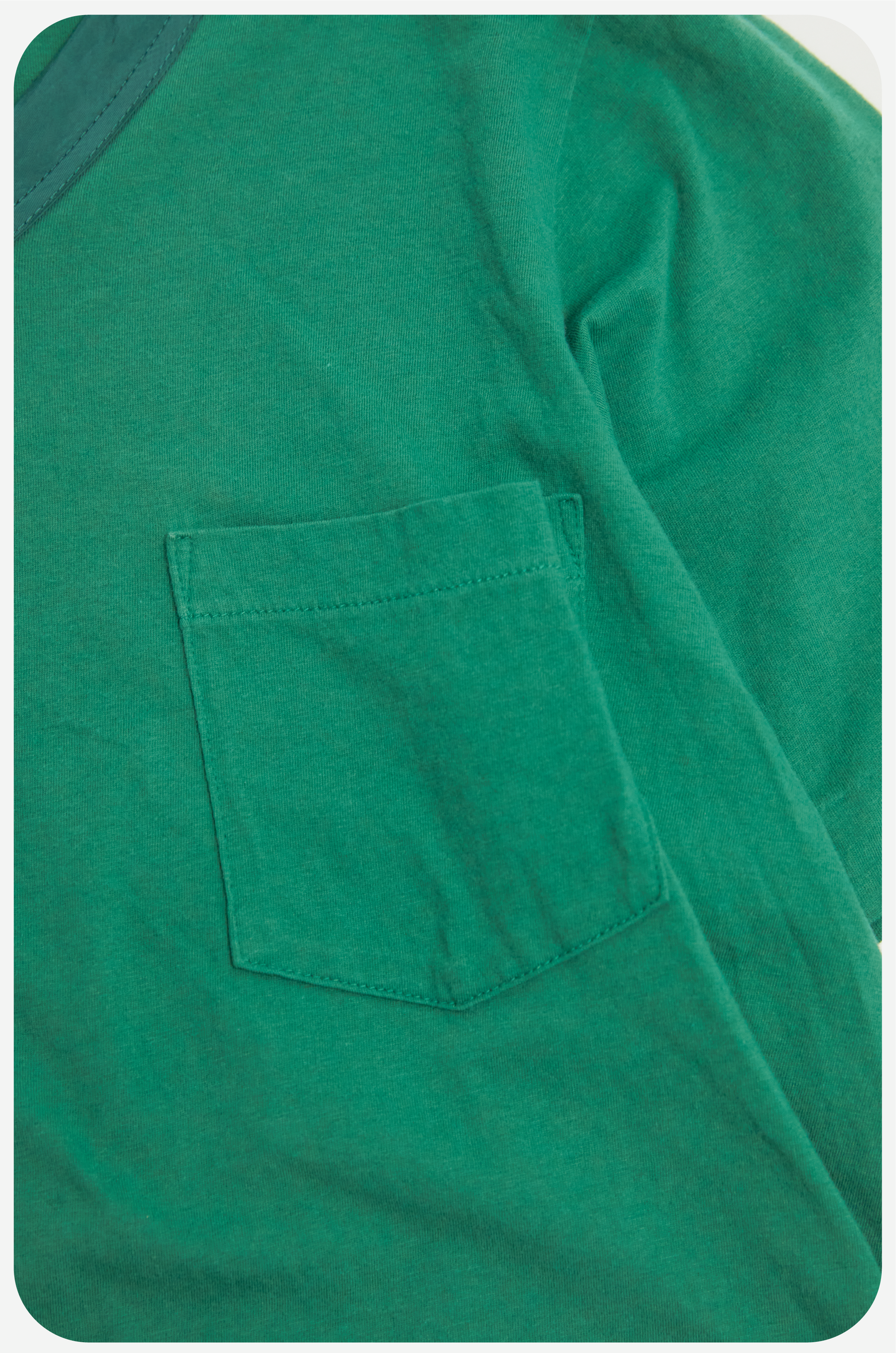 Archives Room:SACAI Green T