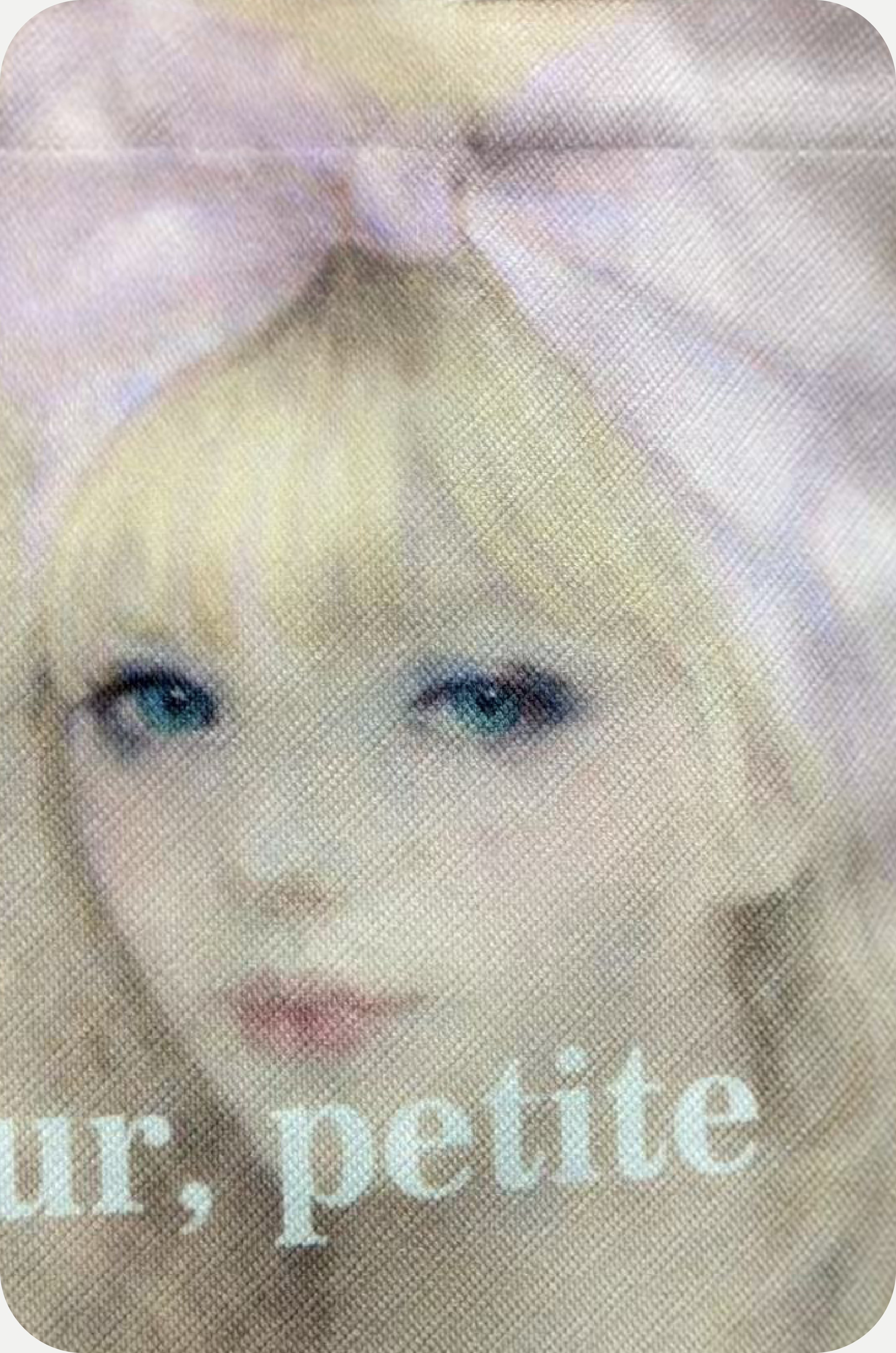 “Bonjour petite” Tote Bag