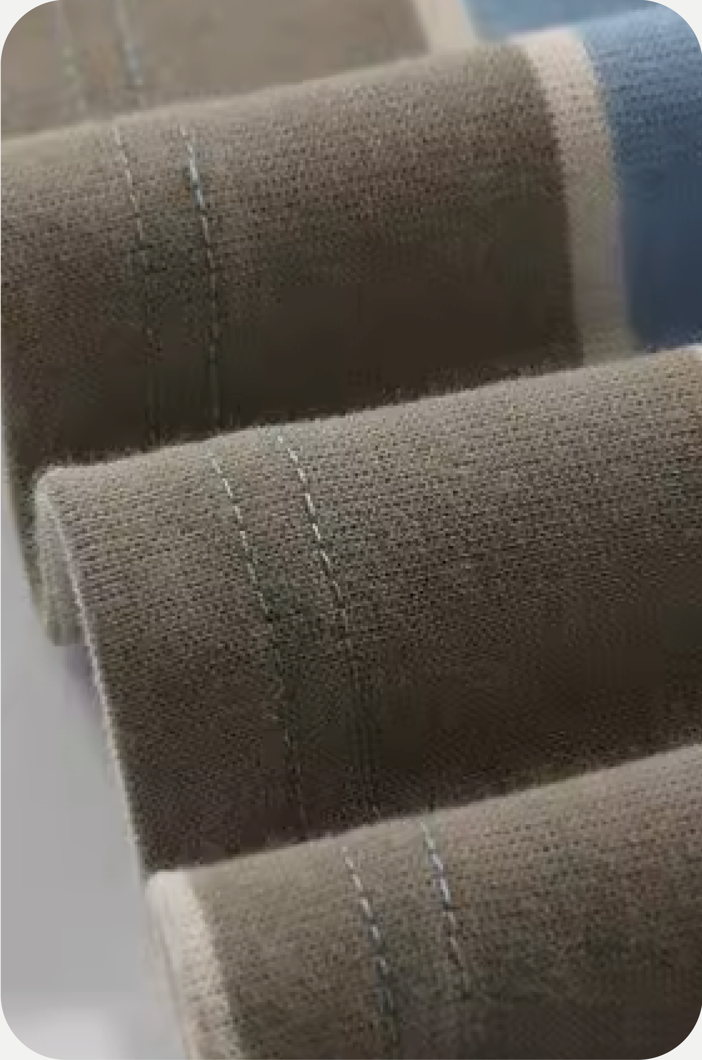 Wide Stripe T