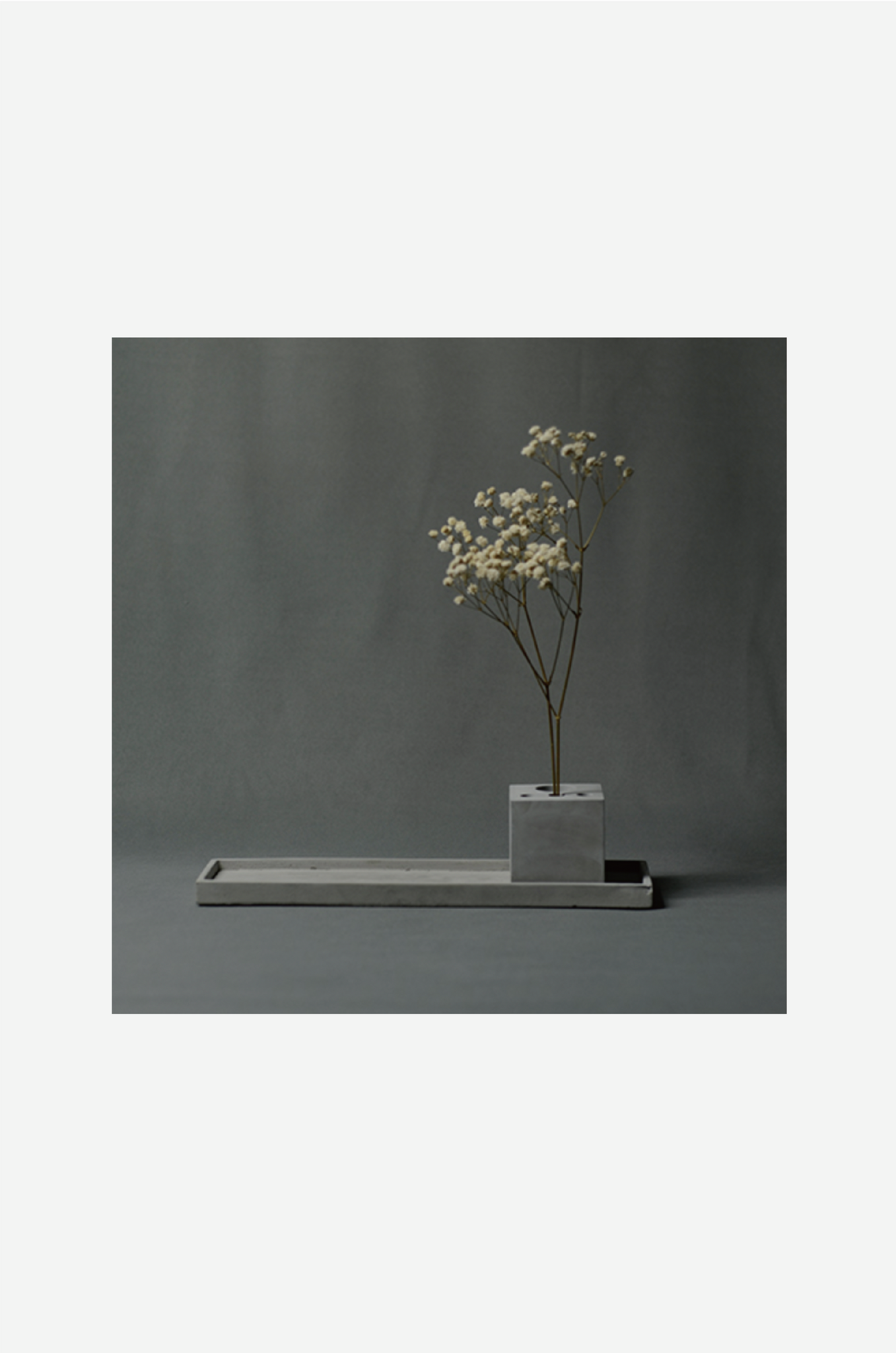 Inorganic Fine Plate