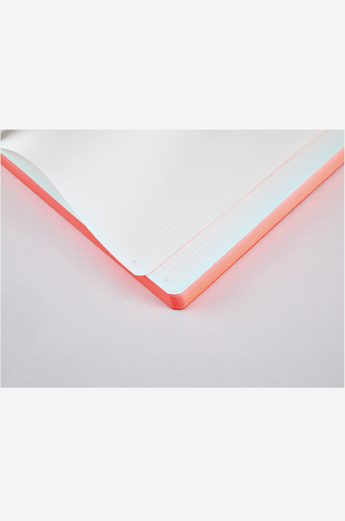 NOTE BOOK：COLOUR CLASH SAKURA
