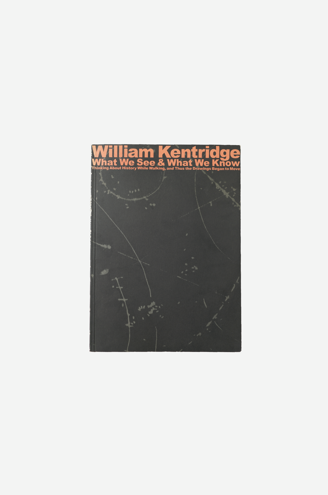 William Kentridge-Thinking about history while walking